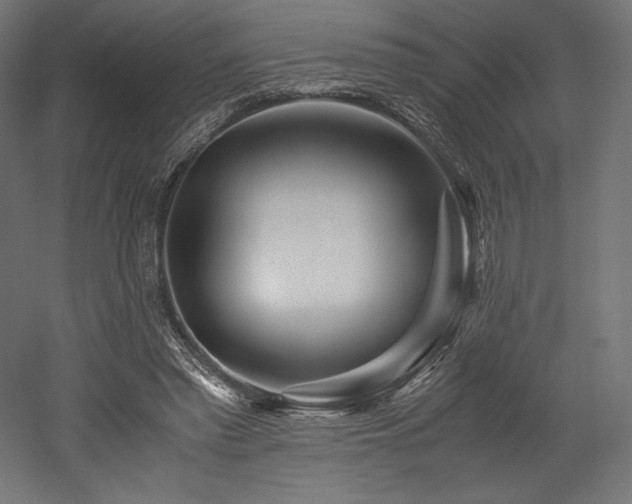 X0000052650397200507011418