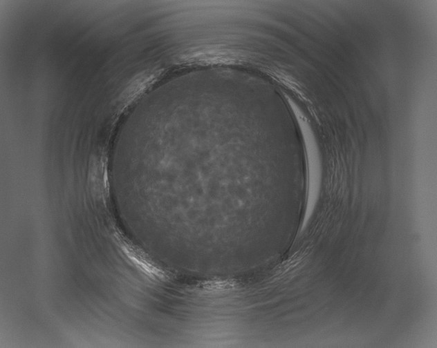 X0000052650398200507011418