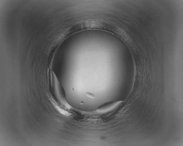 X0000052650401200507011418