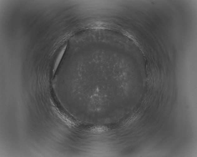 X0000052650402200507011418