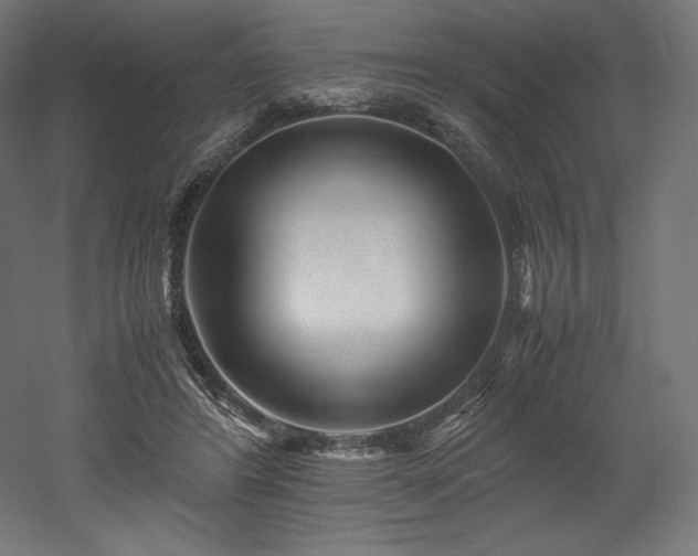 X0000052650404200507011418