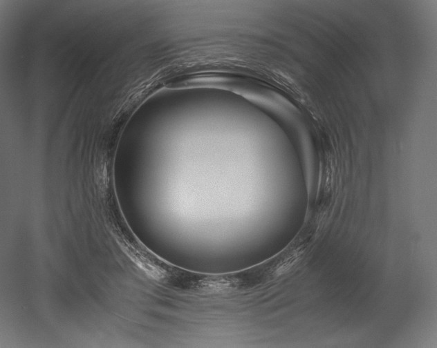 X0000052650405200507011418