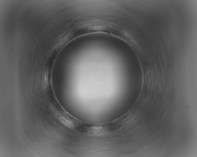 X0000052650406200507011418