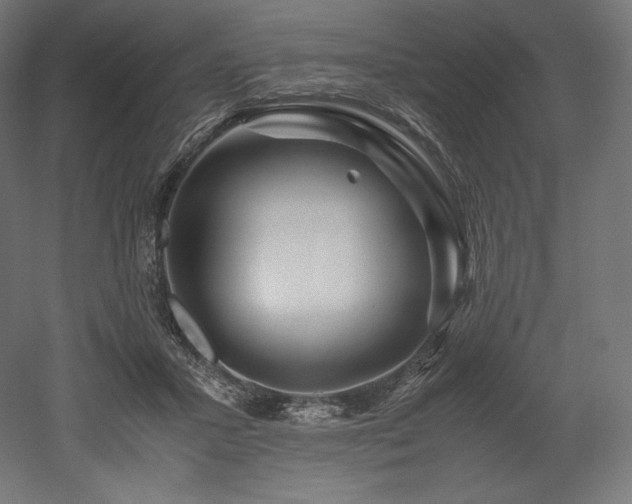 X0000052650407200507011418