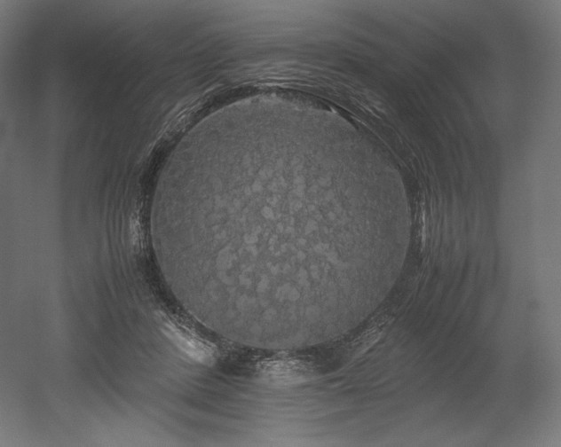 X0000052650408200507011418