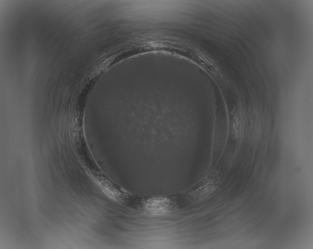 X0000052650410200507011418