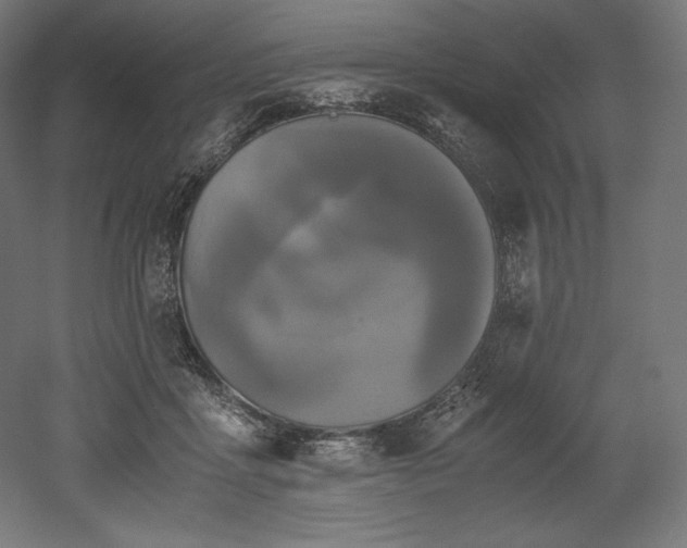 X0000052650411200507011418