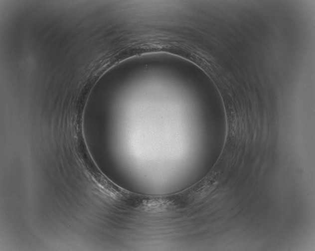X0000052650414200507011418