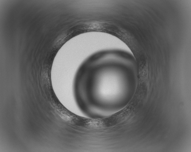 X0000052650415200507011417