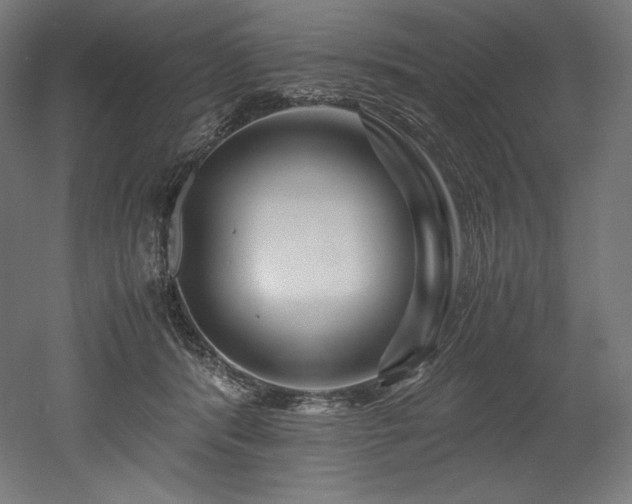 X0000052650416200507011417
