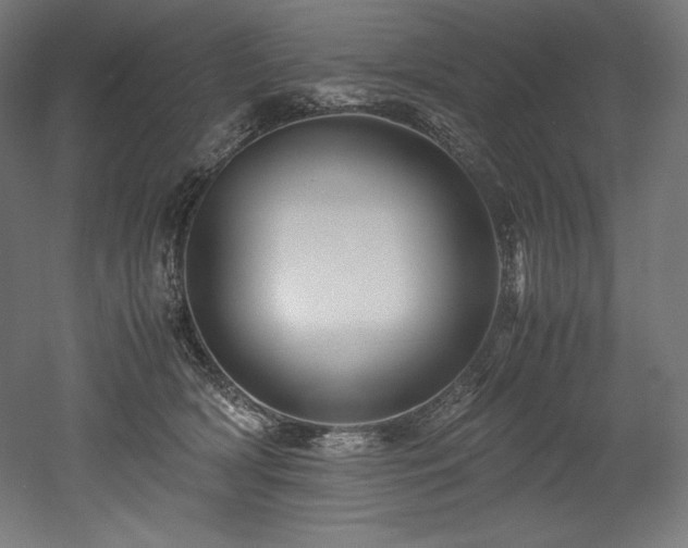 X0000052650418200507011417