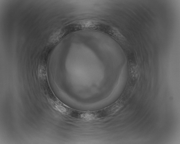 X0000052650419200507011417