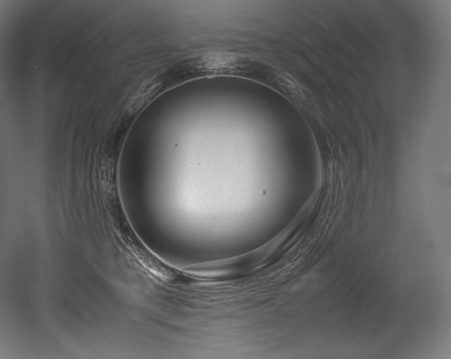 X0000052650421200507011417