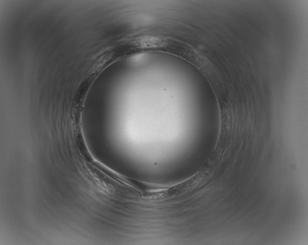 X0000052650422200507011417