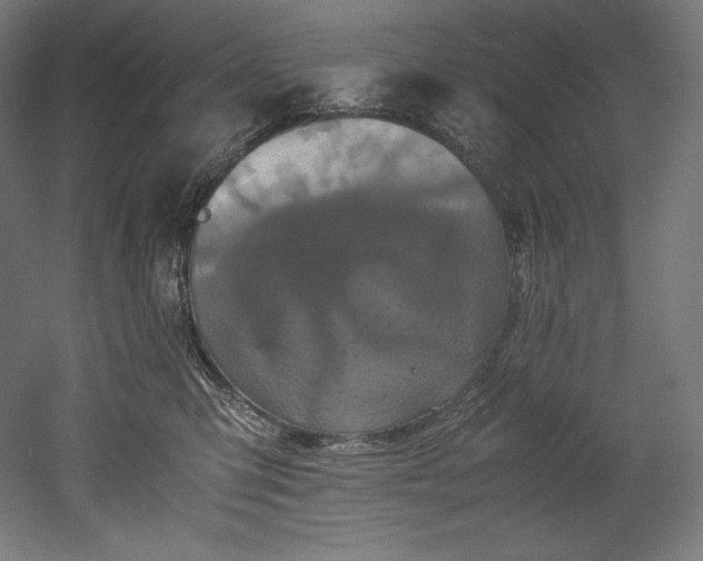 X0000052650423200507011417