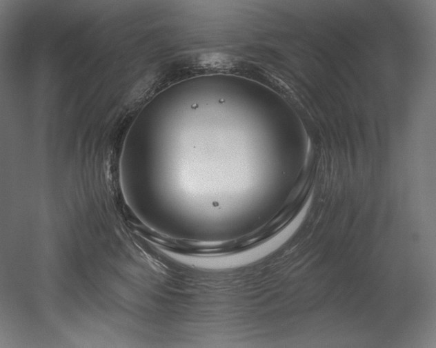 X0000052650424200507011417