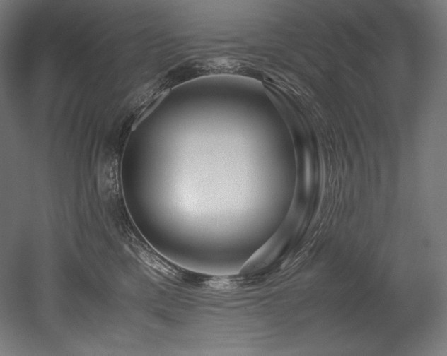 X0000052650425200507011417
