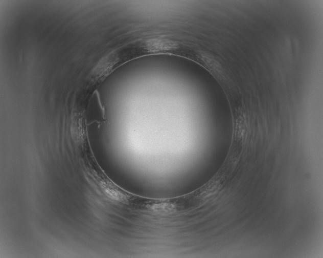 X0000052650426200507011417