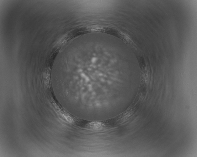 X0000052650427200507011417