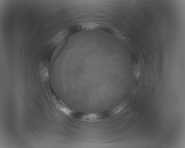 X0000052650431200507011417