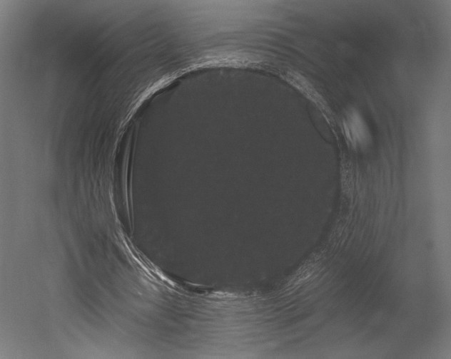X0000052650434200507011416