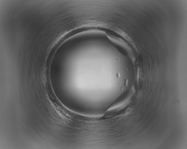 X0000052650436200507011416