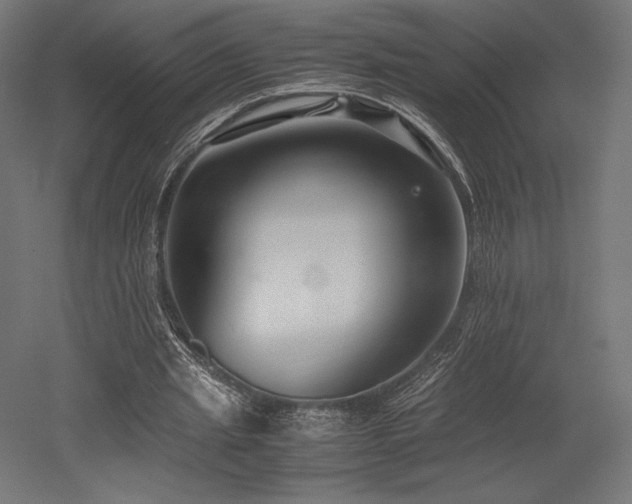 X0000052650437200507011416