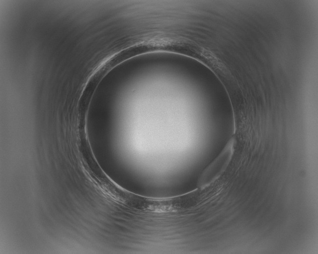 X0000052650440200507011416