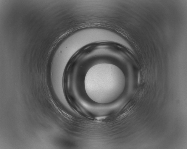 X0000052650442200507011417