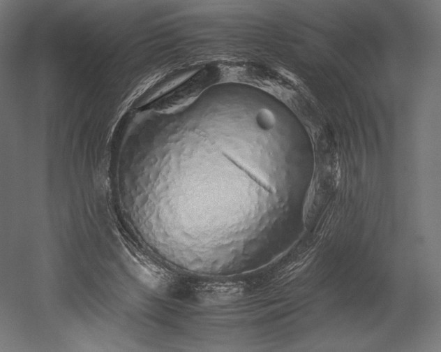 X0000052650443200507011417