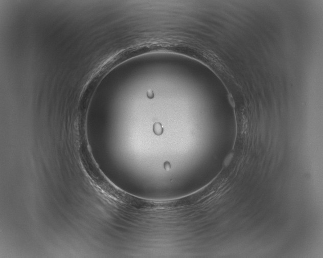 X0000052650444200507011417