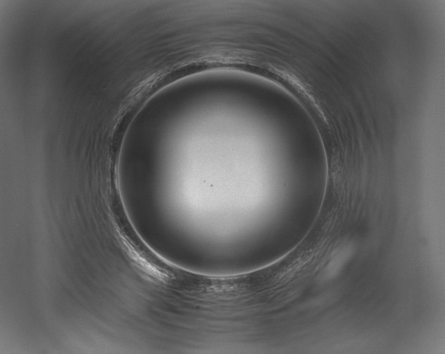 X0000052650445200507011417