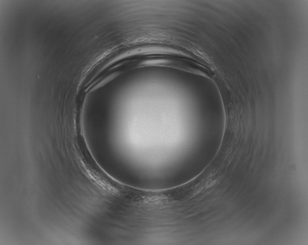 X0000052650446200507011417