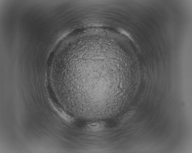 X0000052650447200507011417