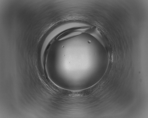 X0000052650448200507011417