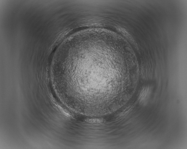 X0000052650449200507011417