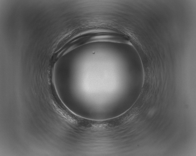 X0000052650450200507011417