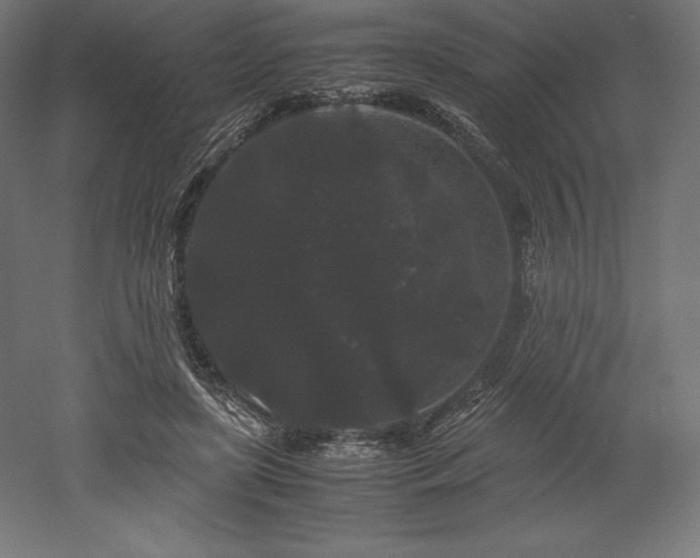 X0000052650451200507011417