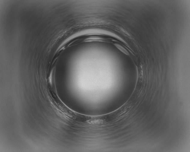 X0000052650452200507011417