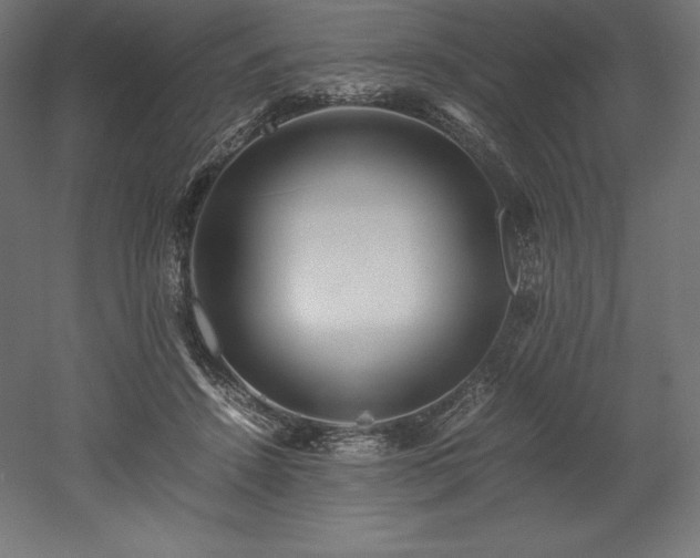 X0000052650456200507011417