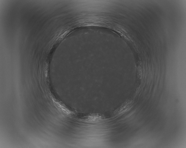 X0000052650458200507011417