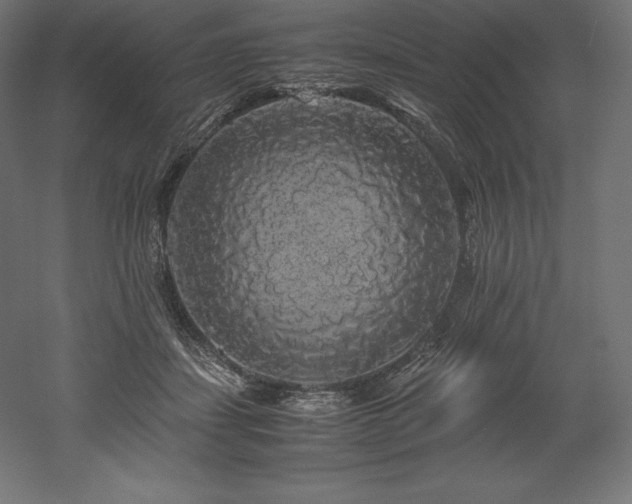 X0000052650459200507011417