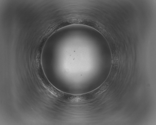 X0000052650460200507011417