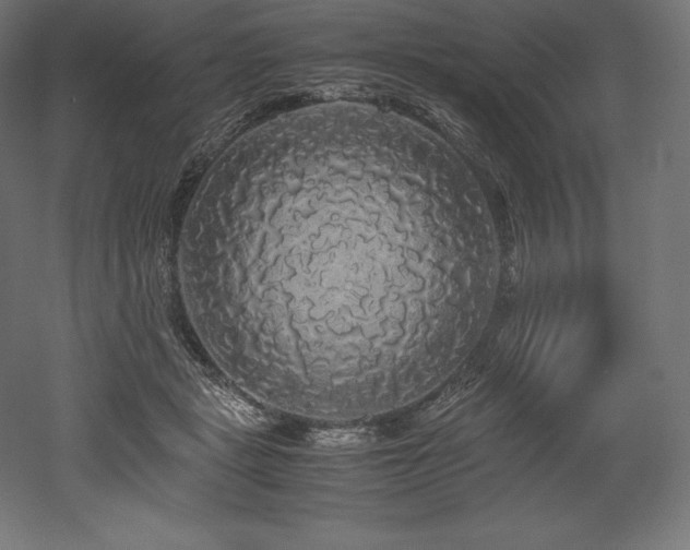 X0000052650461200507011417