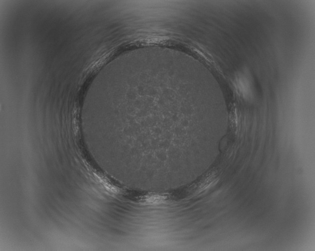 X0000052650462200507011417