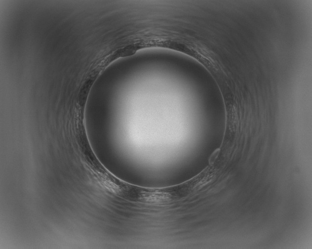 X0000052650463200507011417