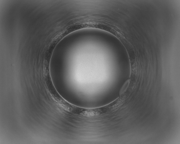 X0000052650464200507011417