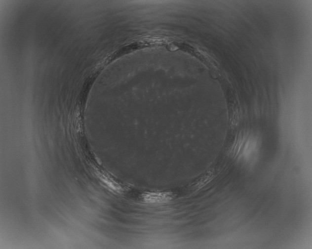 X0000052650465200507011417