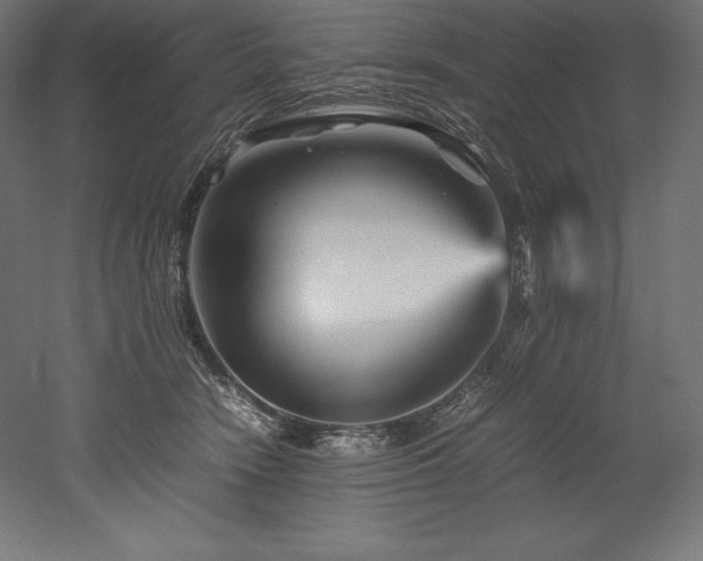 X0000052650466200507011417