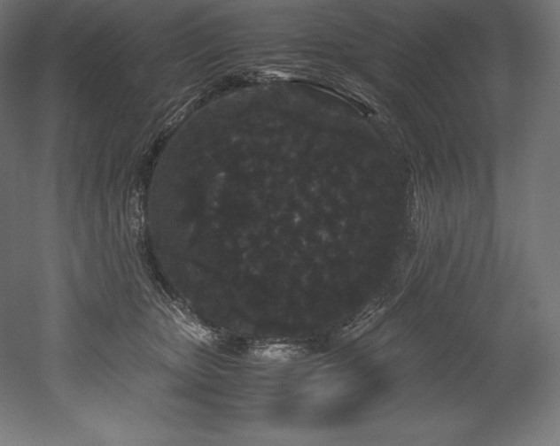 X0000052650467200507011417